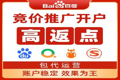 成功案例解析：SEO与SEM协同营销策略